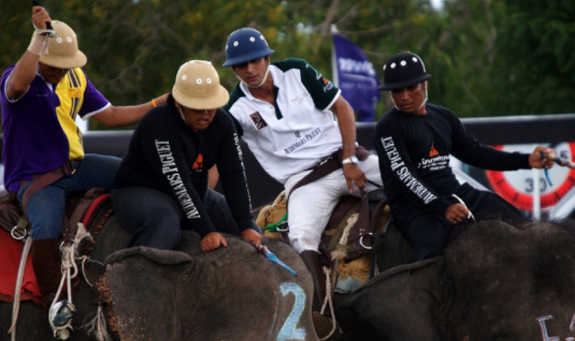 Elefantenpolo-Turnier in Thailand. ©http://anantaraelephantpolo.com/2011/gallery.php