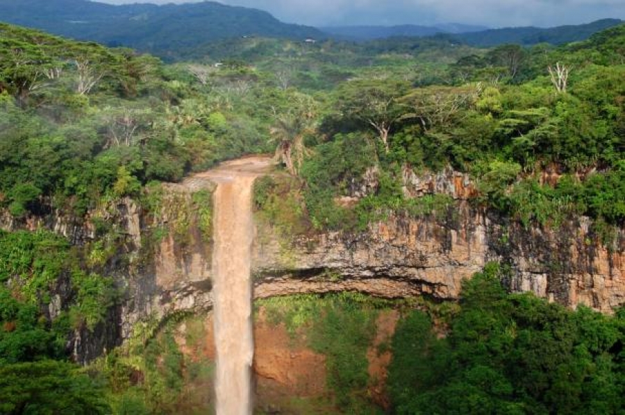 17 Prozent der Landfläche Mauritius' ist bewaldet. ©Sinikka Dombrowski